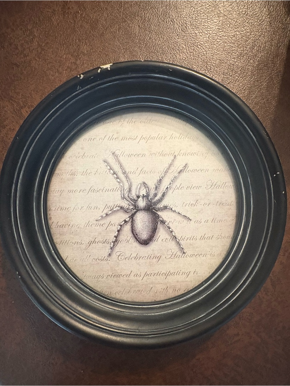 Round Black Halloween Accent Wall Frame with Vintage Spider Art